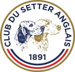 club_setter_anglais.jpg