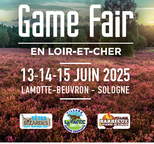 game_fair_2025.PNG