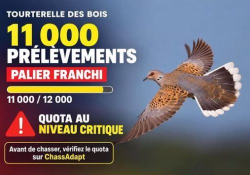 Capture_quota_tdb.JPG